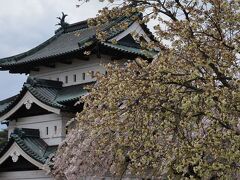 桜を求めて北国へ【１】～桜散る弘前城址～