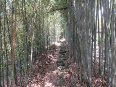京都・竹林の径散策