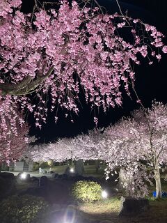 春の山と花々、競演の季節を迎えた富山県(その２・射水市、高岡市)