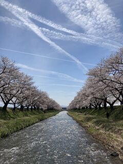 春の山と花々、競演の季節を迎えた富山県(その３・朝日町、魚津市)
