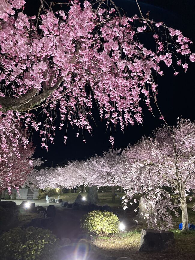 春の山と花々、競演の季節を迎えた富山(その２)