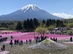 富士芝桜まつりと浅間神社