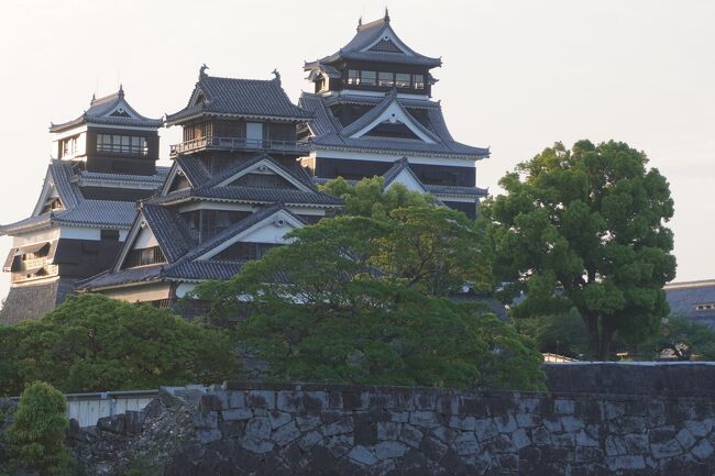 旅行日程表<br />４月２２日（土）花巻14：10→福岡16：20→熊本桜町バスターミナル…ネストホテル熊本泊　<br />４月２３日（日）水前寺公園→くまモン他→ネスト熊本泊<br />４月２４日（月）熊本桜町BT8：15→阿蘇駅9：50…阿蘇駅9：55→10：30阿蘇山上ターミナル…阿蘇山上T10：35→火口10：40…火口11：55→阿蘇山上T12：00…阿蘇山上12：10→阿蘇駅12：43…阿蘇駅14：10→黒川温泉…和風旅館美里泊<br />４月２５日（火）黒革温泉10：20→湯布院駅前バスセンター…BC→別府…ホテル白菊泊<br />４月２６日（水）地獄めぐり→ホテル白菊泊<br />４月２７日（木）別府→博多→UNPLANFukuoka泊<br />４月２８日（金）福岡11：40→花巻13：35　JAL3523→自宅<br />