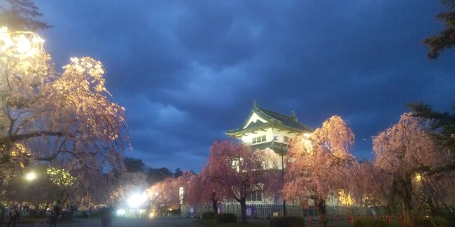 写真は弘前城のしだれ桜です。<br />少し夕闇が迫ってきました。<br />お濠では花筏を見ることができました。<br />ソメイヨシノ系の桜は満開のピークを過ぎ<br />花吹雪が始まっていましたが枝垂れ桜の濃いピンク色の<br />彩りと併せ春の豪奢な風情を堪能することができました。<br />弘前に来てようやく桜前線に追いつことが出来たのです。<br />今日はお昼の桜の景観を味わいます。<br />明日の夕方からは弘前城の夜桜を観光します。<br />2日にかけて桜を堪能できることは私の人生でも経験した<br />ことがありません。<br />弘前城の桜は今回の「花追い旅」のクライマックスの一つです。<br /><br />＜今回の旅の計画＞<br />2023年04月15日（土）東横イン北上駅新幹線口 <br />07:52発　柏ＪＲ特急ときわ51号　全席指定・勝田行<br />08:54到着　勝田<br /><br />国営ひたち海浜公園入園券付　2023年4月15日満開<br />勝田駅-海浜公園1日フリーきっぷ 季節料金期間用 <br />シルバー1,250円　バス代往復800円込みで現金のみ合計1,250円<br />11：47発　勝田　ＪＲ特急ときわ　品川行<br />友部ＪＲ水戸線　小山行<br />小山からＪＲ新幹線やまびこ　仙台行<br />宇都宮から　ＪＲ新幹線やまびこ　盛岡行<br />16:31着　北上　さくら祭り　ライトアップ18時～21時<br /><br />2023年04月16日（日）東横INN秋田駅前<br />08:58発　北上　ＪＲ新幹線やまびこ51号　盛岡行<br />09:17着09:46発　盛岡　ＪＲ新幹線　こまち　秋田行　<br />10:39着　角館<br />14:22発　角館　ＪＲ新幹線　こまち・秋田行　13号車自由席<br />15:04着　秋田　１８時からライトアップ<br /><br />４月１7日（月）　東横INN弘前駅前<br />09:44発　秋田　ＪＲ奥羽本線・大館行発 　10:16着　八郎潟<br />又は10:55発　秋田　ＪＲ奥羽本線・東能代行発　11:29着八郎潟<br /><br />バス　駅前発バス11：55　⇒大潟富士12：04着　道の駅着　12：17<br />バスに乗車せずに弘前に行った。<br />八郎潟発16：15つがる5号18:30新青森着<br />実際は1本前のつがるへの指定席の変更は乗車券販売機で変更できた。<br /><br />2023年4月18日（火） アートホテル弘前シティ　<br />「中央弘前駅」or「弘前駅」にて「乗車証明書」提示で<br />『共通入園券』が無料でもらえた。<br />降りたところのマシーンで自分で引いてもらった。<br />入場も同じ場所だが駅員が見ているので入ってすぐはもらえず。<br />弘前城本丸１７時迄・北の郭、弘前城植物園17時までと藤田記念庭園の<br />1日入園券　大人 520円<br />『共通入園券』無料チケットは当日限りで時間がなくて藤田記念庭園<br />は入場せず。<br /><br />2023年4月19日（水）東横INN弘前駅前　ペットボトルの水サービス<br />18日と１9日弘前観光　スマホのみで購入できる津軽フリーパス<br />スマホで2日間購入済みで１か月の間の2日使用期間。<br />スマホですぐ出せなくて苦労した。<br />「TOHOKU MaaS」で電子チケットとして販売。大人 2,460 円<br /><br />2023年04月20日（木）東横INN新青森駅東口<br />青森周辺観光　<br /><br />2023年4月21日(金)東横INN青森駅前から東横INN函館大門に<br />前日に変更した。<br />https://www6.kaiho.mlit.go.jp/01kanku/<br />hakodate/keihou_kaijou.html<br />--津軽海峡 地方海上予報　函館海上保安部<br />波が高かったらどうしようか<br />　　　<br />函館にフェリーで移動し観光する。<br />津軽海峡フェリー9000トン級は乗船日の5日前までの予約<br />及び事前決済が可能であること<br />海割ウォーク　2,780円が大人2,380円<br />2日前にスマホでクレカで購入して200円引きだった。2,580円<br /><br />ねぶたん号バス青森駅西口②番乗り場　駅出て目の前　<br />駅を出たところにトイレもあり<br />9:00発　満員に近い　300円スイカ使用可能<br />津軽海峡フェリーターミナル9:11着<br /><br />11便　ブルールミナス	10:00出港	函館13:40着<br />函館のフェリー発　バス14:10発　14:30着途中バス停<br />14:35途中バス停	14:40函館駅　350円くらい　<br />きれいな大型バスは時間通りに発車　10人くらいしか乗車せず。<br />待てない人はタクシーを利用していた。駅まで2,000円以内との事。<br /><br />2023年04月22日（土）東横INN函館駅前大門　<br /><br />04月23日（日）東横INN　東横INN函館駅前朝市<br />駅から4番バス停　函館登山17：30　30分毎　<br />帰りは山頂18：10発乗車した。<br />30分毎だが大渋滞で昨夜の最後のバスなどは取り消しとのこと。<br />ロープウェーで帰って下さいとのことでした。<br />ICカード利用可で片道500円　バスや市電の乗り放題チケットは<br />スマホのみで購入、使用できる。<br /><br />2023年04月24日（月）　東横INN小山駅東口2　キャンセルした。<br />07:00　函館ＪＲ快速はこだてライナー・新函館北斗行 2駅　4両くらい<br />07:19着07:38発　新函館北斗　新幹線はやぶさ14号・東京行6駅指定席<br />09:41着10:08発　盛岡　ＪＲ新幹線やまびこ56号・東京行<br />12:34着12:55発　宇都宮　ＪＲ湘南新宿ライン・逗子行 5駅 <br />13:21着　小山　　<br />１4：02発　小山　ＪＲ両毛線・高崎行7駅594円<br />14:37着　あしかがフラワーパーク<br />両毛線・高崎行ホームに行く途中に無人の観光案内の部屋で<br />パンフレットがあり<br />100円引き券が下の隅にあった。5名迄使用できる。<br />西口は駅から3分くらいと近いので入園チケットを2,000円で購入した。<br />15時くらいだったがあまり混まずに購入できた。<br />入園チケットは200円割引きチケットが下に印刷され<br />3名迄利用可能で翌日から10月末利用可能。<br />あしかがフラワーパーク　17：30から夜間入園200円しか違わない<br />18時からライトアップ<br />セブンかローソンで購入すると200円引きくらい、<br />手数料かかるかもしれません。<br /><br />参考<br />青函フェリーは3000トン級でWEB予約　<br />乗船日2日前の23：59までネットで購入すると<br />2023年のはやぶさⅡ就航記念で1700円　9便14：35出港<br />函館18：25着　はやぶさⅡ　<br />青函フェリーに乗船した人のみ専用の予約タクシー1,000円位で<br />函館駅等まで行ける。<br /><br />