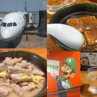 一時帰国で千葉旅！No.１　浦東空港から成田空港へ！相方２年ぶりの日本　ベッセルイン千葉駅前宿泊　居酒屋で日本料理に感動