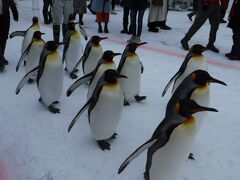 2022年末～23年始は、朝日山動物園・旭川上川神社・札幌里帰り・リッチモンドホテル札幌駅前に宿泊