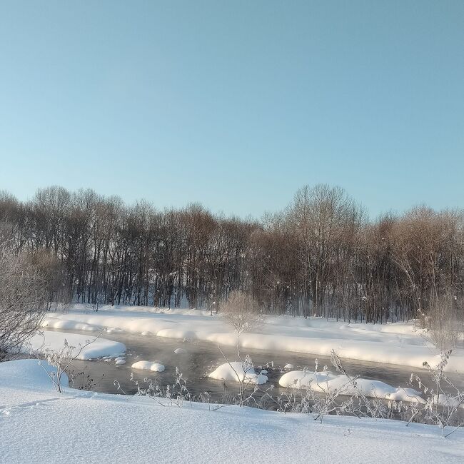 旭川へ引っ越して初めての冬。<br />夏の旭川は最高に気持ち良かった。<br />でも、冬は-20℃の世界。<br />最初は嫌だ嫌だと思っていましたが<br />住んでみると、なんと、気持ち良い事でしょう。<br /><br />朝の河川敷散歩も、気持ちよくて<br />寒すぎる日もありましたが<br />それも、意外と、いいんですよ。<br /><br />そんな冬の旭川の生活と<br /><br />東川町のカフェ<br /><br />夜の旭山動物園<br /><br />また、今回は<br />札幌の友達が<br />娘の来年の成人式の着物を選びに<br />旭川の「駒屋」というお店まで<br />わざわざ来たので<br /><br />せっかくなので<br />「アートホテル旭川」にお泊りして<br />久しぶりの女子会も開催。<br />旭川の夜を楽しみました。<br /><br />そんな旅行記です<br /><br /><br /><br /><br /><br />