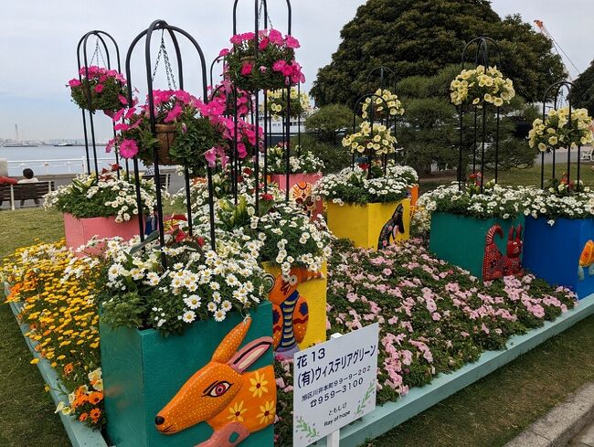 横浜の花と緑をつなぐ！<br />花々が色鮮やかに町を彩る季節！市内の各所で行われるイベントの総称が「ガーデンネックレス」です。<br />美しい花と緑をネックレスのようにつなぐイメージだそうで、いいねネーミングですね。<br /><br />メイン会場は、みなとエリアと、旭区上白根町のよこはま動物園ズーラシアとなりの里山ガーデンです。<br />里山ガーデンはまだ行ったことがないんですが、昔懐かしい里山の風景が楽しめる花いっぱいの公園だそうです。<br /><br />ほかにもこの時期に日程を合わせ、たたくさんの会場でイベントが開かれていますね。<br />でも、その他会場はいわゆる協賛って感じかなぁ・・<br /><br />今日は山下・関内エリアに行ってみました。<br />横浜港の景観と、桜の開花が終わった後もチューリップ、バラと花が移り春を感じることができます。<br /><br />関内の横浜公園～日本大通り～山下公園と花を愛でながらのんびり歩いてきました。<br /><br />