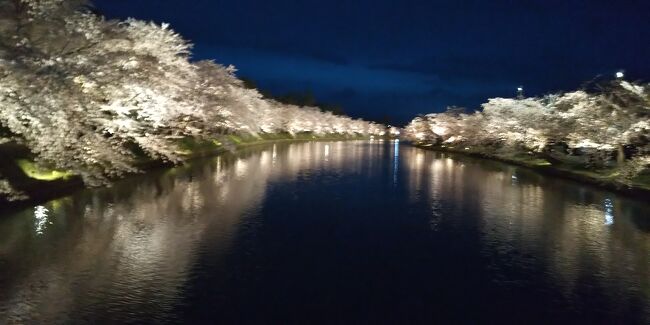 No.6(弘前城の夜桜）今年は最速の開花宣言！花追い旅の10日間（2023年4月15日～24日）