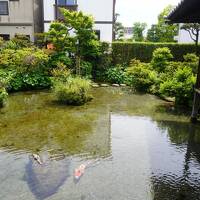 福岡・長崎はしご旅（四日目）～島原・天草の乱の歴史が残る島原ですが、一日の湧水量が22万ｔの水の都。水屋敷や名物かんざらしにも心が和みます～