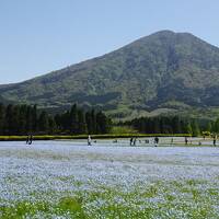 えびの二湖パノラマハイク、花の生駒高原、都井岬の野生馬　南九州の旅１