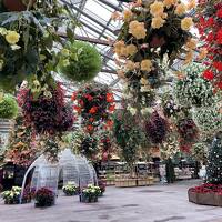 【2021年12月】5歳息子が47都道府県制覇した旅（鳥取＆島根）3日目