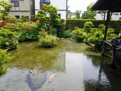 福岡・長崎はしご旅（四日目）～島原・天草の乱の歴史が残る島原ですが、一日の湧水量が22万ｔの水の都。水屋敷や名物かんざらしにも心が和みます～