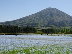 えびの二湖パノラマハイク、花の生駒高原、都井岬の野生馬　南九州の旅１