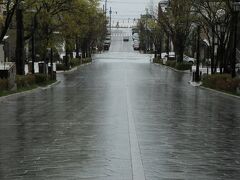 JALで函館　雨の五稜郭・赤レンガ倉庫など