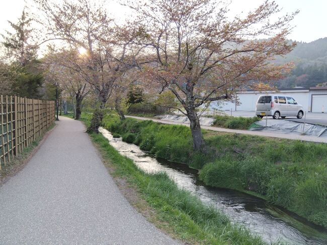 　１泊２日で忍野八海や河口湖等、富士五湖周辺を巡って来ました。季節のお花や桜を壮大な富士山と共に愛でて来ました!