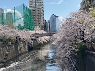 目黒川から皇居と千鳥ヶ淵