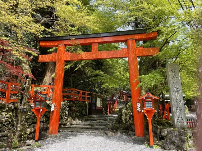 ２泊３日の京都旅行、２日目の記録です。<br />新緑の季節、気持ちよかったです。