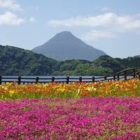 花畑と開聞岳、指宿、青隆寺、最南端の駅、いせえび荘　南九州の旅3