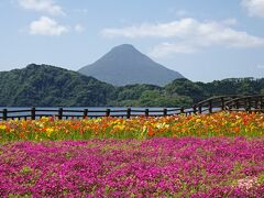 花畑と開聞岳、指宿、青隆寺、最南端の駅、いせえび荘　南九州の旅3