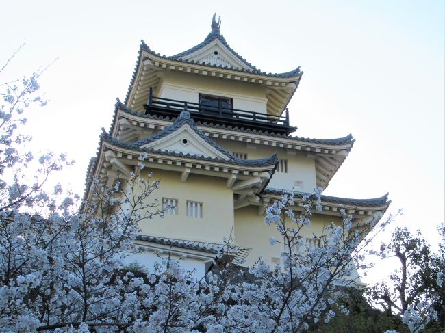 総集編④  &#127800;彩る東海道で家康ゆかりの地を巡る　２日目-3：掛川城・二の丸御殿・二の丸茶室