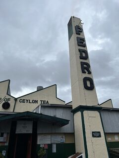 Nanu Oya駅周辺での時間の過ごし方(Tea Factory)