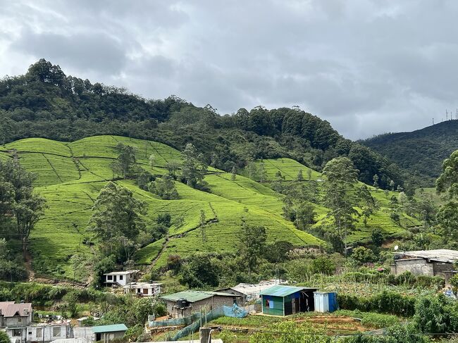 今回の旅行で最も楽しみにしていた、スリランカ鉄道に乗って紅茶畑を眺める旅へ出発。<br /><br />今回は、Kandy駅からNanu Oya駅まで約4時間の列車の旅。<br /><br />8:10 ホテル出発<br />8:15 Kandy 駅着<br />8:47発 Badulla 行き列車に乗る予定<br />9:00 もうじき来るよアナウンス<br />9:10 列車到着<br />9:15 発車<br />