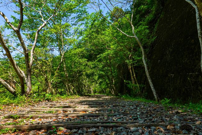 福知山線廃線跡を行く