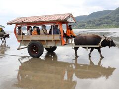 水牛車で海を１５分渡り由布島へ