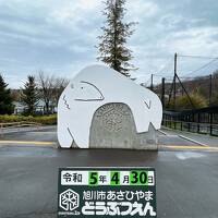 2023 G.W.キャンピングカー旅 Discover Hokkaido Day 2   旭山動物園～SHIROみんなの工場編