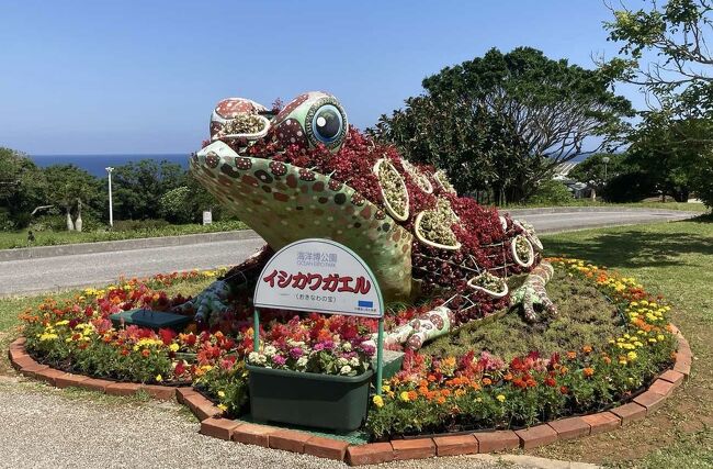 沖縄2日目。海洋博公園に。美ら海水族館よりも、熱帯ドリームセンターが主目的。水族館のあたりは人が多いけど、中央ゲートより南側のエリアは、沖縄の公園らしくていいのだけど、人がいないの。そのぶん、ゆっくりできて最高。