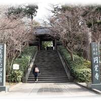一泊二日　神奈川県一之宮巡り　第一日目(鎌倉円覚寺・建長寺・鶴岡八幡宮)