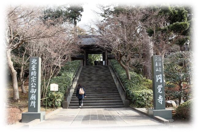 2023年1月17・18日、今年最初の一之宮巡りとして神奈川県鎌倉方面まで出かけてきました。<br />大河も終わったし、春節前なら比較的空いているかな？<br />そんな目論見でお国の支援を利用し訪れました。<br />今回は相模国一之宮二社の巡拝。<br />混むイメージしかない鎌倉です、目的地を詰め込まず時間に余裕を持ったスケジュール、なので新幹線も空いた列車を待って乗る、ノープランでの移動。<br />