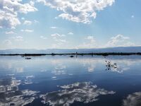 【ミャンマー】2泊3日でインレー湖を目指すカロートレッキング　最終日の3日目
