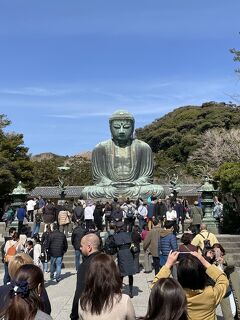 はとバスで、『鎌倉・江ノ島』