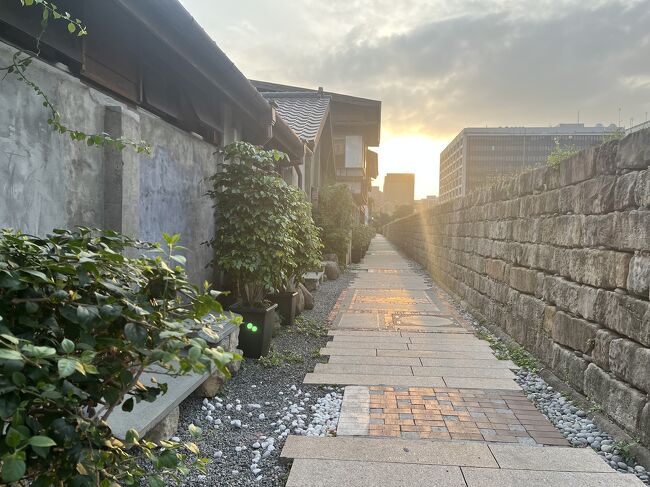 ここ数年、GWには台湾行けるかなと<br />定期的にホテル予約してはキャンセル。<br />去年の秋に良いホテルがお安くなっていて<br />とりあえず確保してました。<br /><br />ふだん、お値段お高い連休に海外旅行はしません。<br />でも、今回はホテルがお安く取れたし行くことに。<br />航空券は以前の1.5~2倍くらいでしょうか。<br />年明けにポチっと予約。<br />いろいろ制限解除の日本と台湾。<br />日本人観光客の方たっくさんいました!<br />ひとり旅なので、肩身狭いなと思いつつも<br />いつもと変わらず食べ歩き旅してきました。<br /><br />飛行機:JAL 往復こみこみで約16万円<br />ホテル:パークホテル台北 3泊で約42,000円