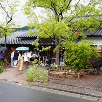 スマイルキャンペーンで福岡・熊本・大分に行ってきました（雨の由布院探訪・別府温泉ホテル白菊）