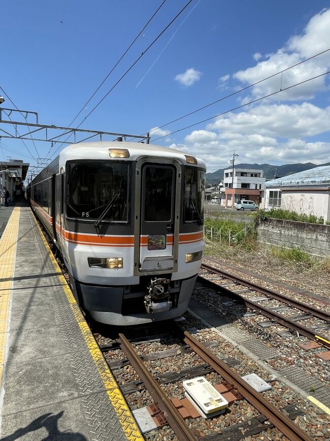『飯田線秘境駅号』なる列車の存在を知りました。<br />調べたところ、ＧＷと秋の臨時列車だということで、<br />早速行ってきました、GW！<br />お天気にも恵まれ、素敵な秘境駅を満喫です。<br />沿線の住民のみなさんやＪＲ東海のみなさんが飯田線を盛り上げようと頑張っていらしたので、応援したくなりますね。<br />写真もいろいろ撮りましたが似た景色が多くなってしまって…（笑）<br />相当減らしました。