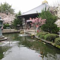 お遍路ドライブ開始！ 1番霊山寺･大麻比古神社･2番極楽寺☆四国お遍路ドライブ2023年春①