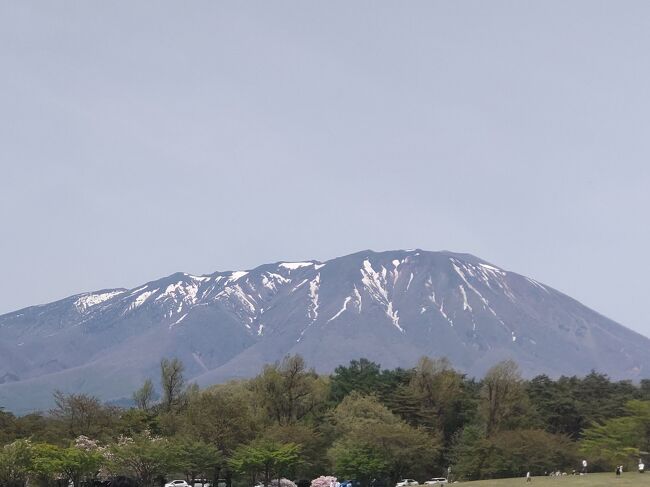 2023年5月4日（祝）に家族で、ちと、紫波酒造店、小岩井農場、ぴょんぴょん舎に日帰りで出向いてまいり候。<br />あ、タイトルは「SPY×FAMILY」のアーニャ気取りです、悪しからず。