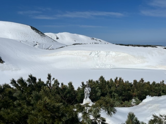 去年は八幡平で雪の回廊を見たけど、立山も見たい！<br />初雪の立山連峰見たから、残雪も見たい！<br /><br />というわけで今度は富山側から室堂を目指します。