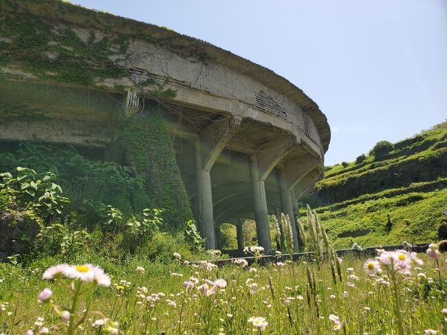 カーフェリーに乗って、初めての佐渡ヶ島へ。<br />1日目は、新潟港まで移動、車中泊。<br />2日目は、観光して車中泊。<br />3日目は、ドンデン山 登山して、ホテル志い屋に宿泊<br />4日目は、新潟港まで戻り、新潟競馬場。<br /><br />佐渡では天気に恵まれ、最高の登山になりました。<br />5月5日に、能登で震度6強の地震があって、佐渡ヶ島も結構揺れました。<br />