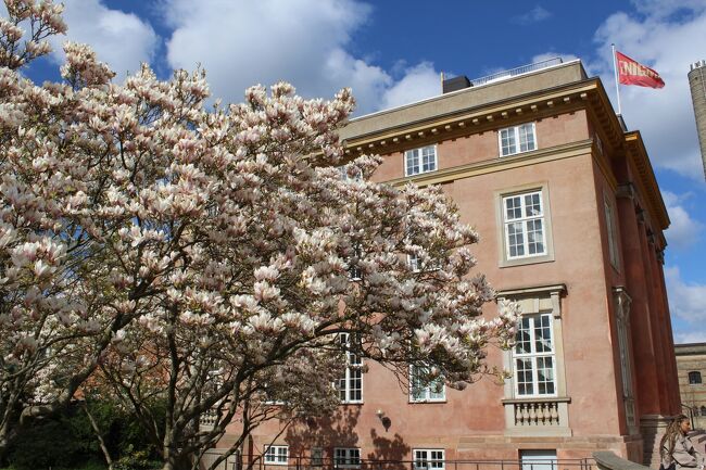 桜が見たくてコペンハーゲン一人旅　３