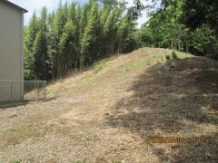 柏市の豊四季・上野牧野馬土手・低見台第三公園