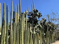 メキシコ2日目&#9786;︎ オアハカ 市内観光