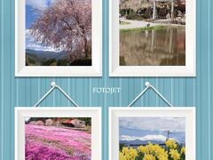 2023sakuraシリーズ６♪　　美女高原の水芭蕉♪、飛騨地方の桜♪、郡上市國田家の芝桜♪＆西山公園の花たち♪