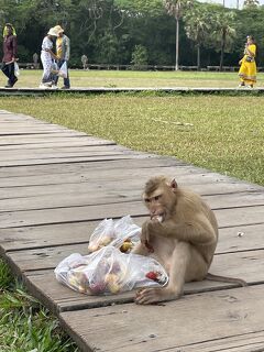 人々の笑顔に癒されるシェムリアップの旅～2日目②