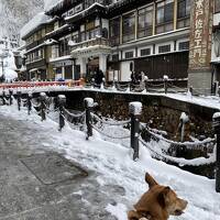 正月に行く犬連れ旅行・山形県・銀山温泉・米沢