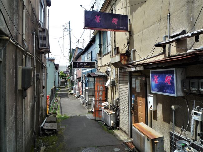 今日も晴天でいい旅日和の３日目です～、ちょっと隣町へ行ってみる気分で秋田県・大館の町にＪＲ奥羽本線で行ってみます。<br /><br />前回は県境の碇ヶ関まで行ったので矢立峠を越えれば秋北地方の中心である旧城下町・大館まで普通列車で４０分と青森へ行くのと変わらない近さです。<br /><br />大館と言えば秋田犬の故郷、渋谷の待ち合わせスポットである忠犬ハチ公像のハチ公の故郷でもあります、その秋田犬に会いたくて大館に向かいました。<br />日本犬種であり唯一の大型犬種である秋田犬は三角の尖った耳に黒い鼻と丸まった尻尾の容姿の可愛さとその性格である忠誠心が日本人の心を掴んで止まないのです。<br /><br />４５年ぶりに降りった大館の町も随分と様変わりしてしまい当時の面影はすっかりと消えていましたが、そのでも大町通り商店街や歓楽街などは昔ながらの景観がまだ残っていました…。<br /><br />年月が流れてまた来てるみると当時の様々な思い出が蘇って心の旅をしているようでセンチメンタルな気分に成ってしまいます。<br /><br />撮影使用カメラ　オリンパスＳＨー２１・ルミックスＦX３７