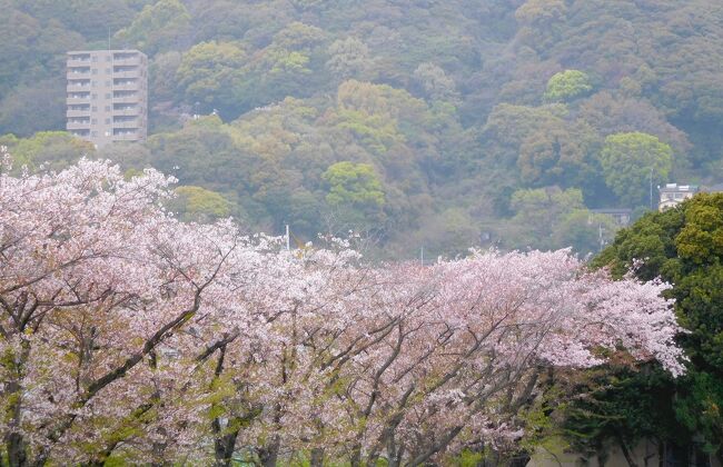 ２０２３年４月　山口県周南市　宝塚歌劇団星組全国ツアー観劇と散歩